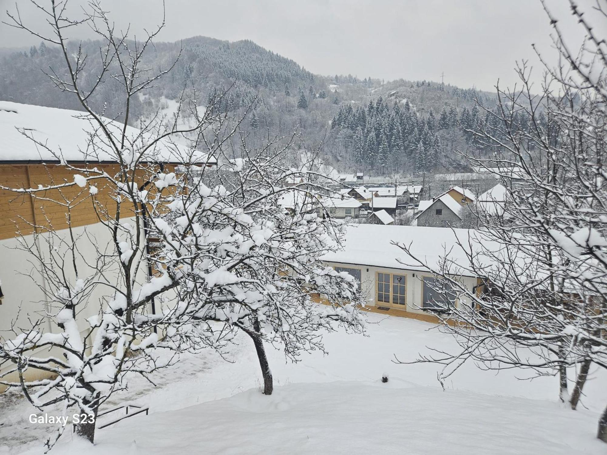 Casa Mara Viseu De Sus Hotel Buitenkant foto