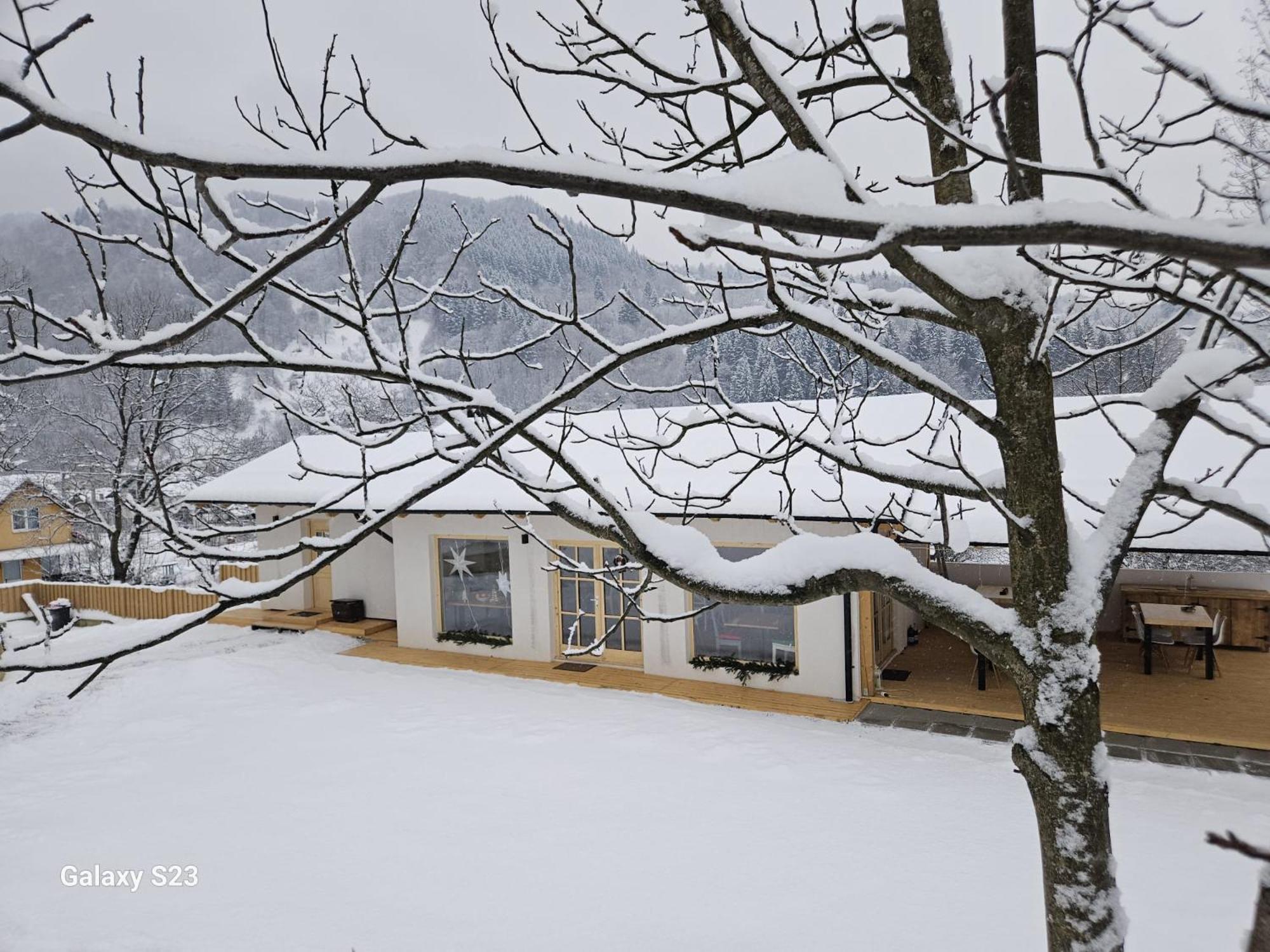 Casa Mara Viseu De Sus Hotel Buitenkant foto
