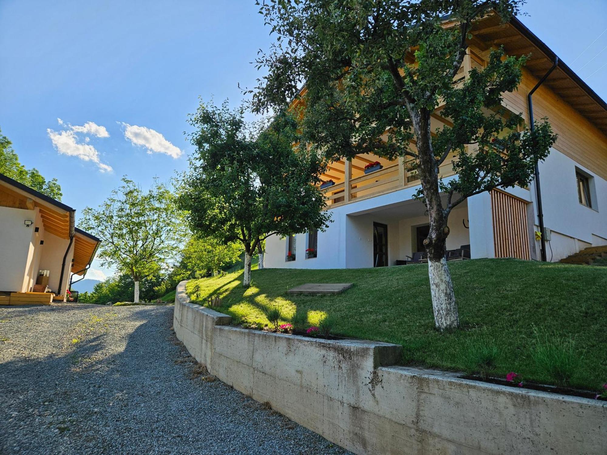 Casa Mara Viseu De Sus Hotel Buitenkant foto