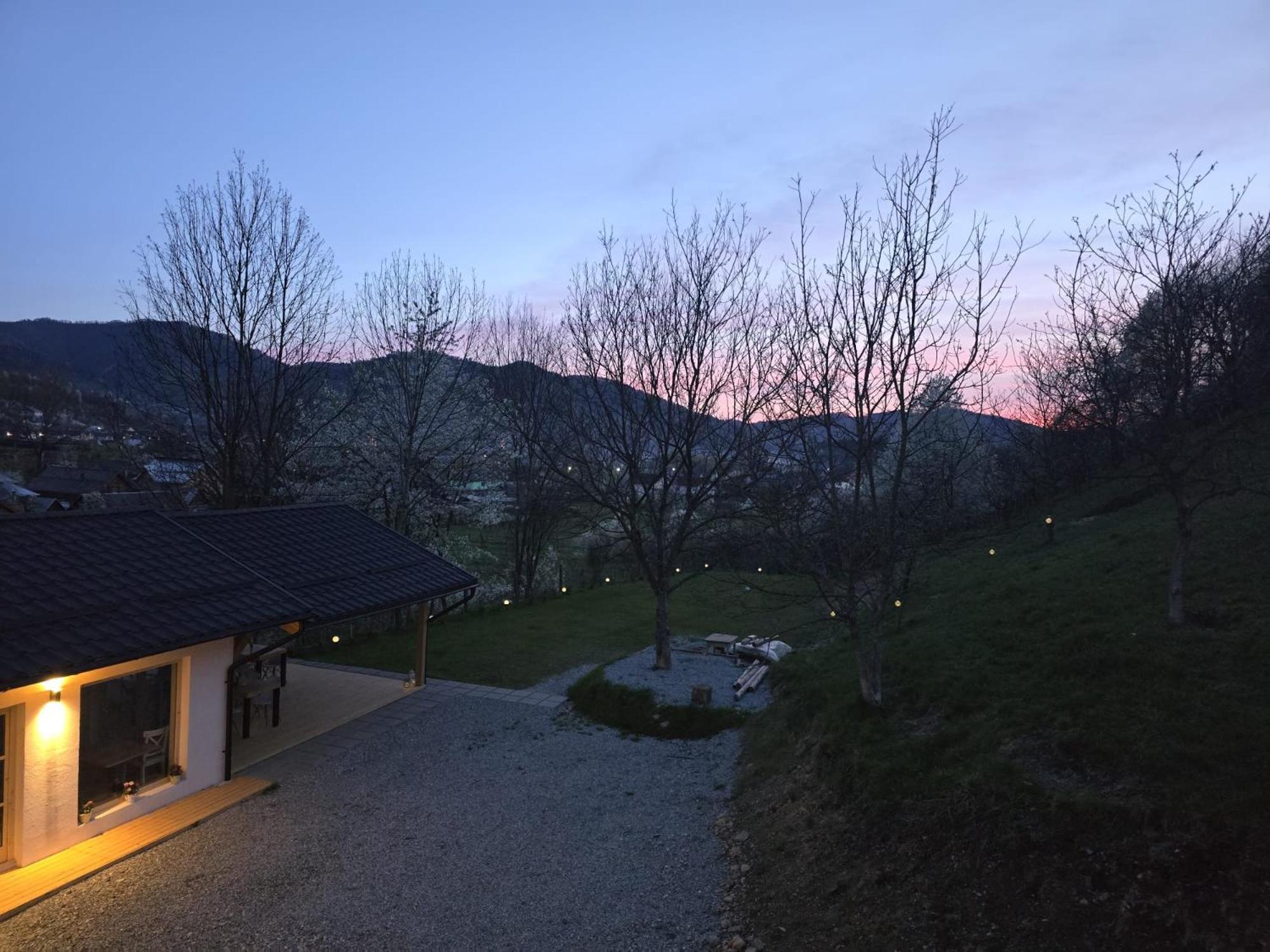 Casa Mara Viseu De Sus Hotel Buitenkant foto